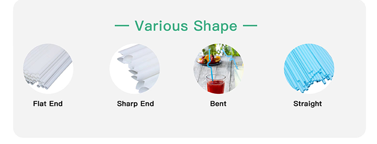 6mm Non-Plastic Drinking PHA Straw