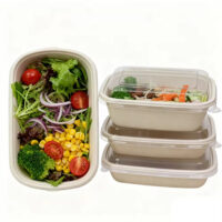 750ml Disposable Sugarcane Bagasse Bowls