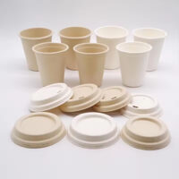 8oz Sugarcane Bagasse Cup with Lids