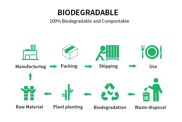8oz Sugarcane Bagasse Cup with Lids