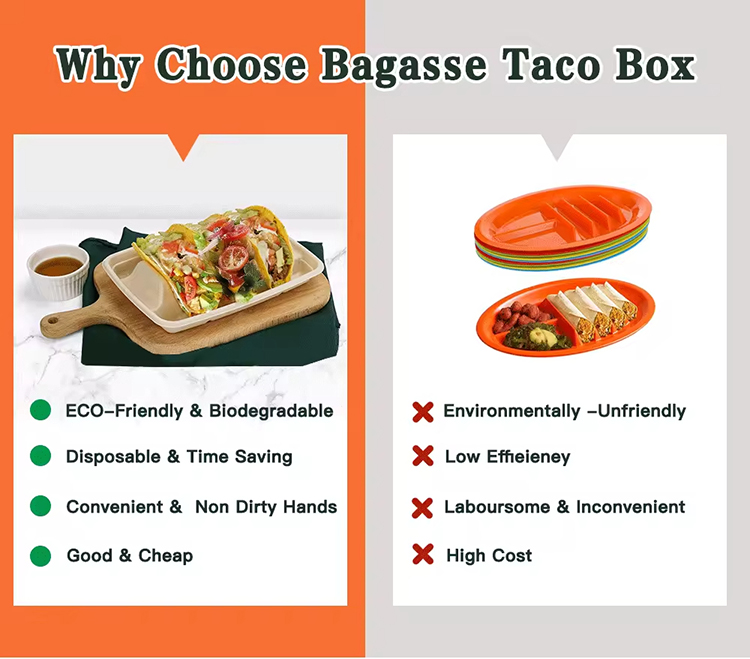 Biodegradable Sugarcane Bagasse Taco Box Tray