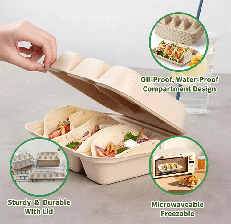Biodegradable Sugarcane Bagasse Taco Box Tray