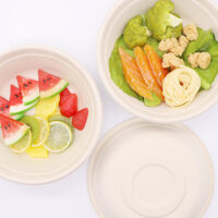 Biodegradable Sugarcane Bowl
