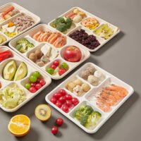 Biodegradable Sugarcane Tray