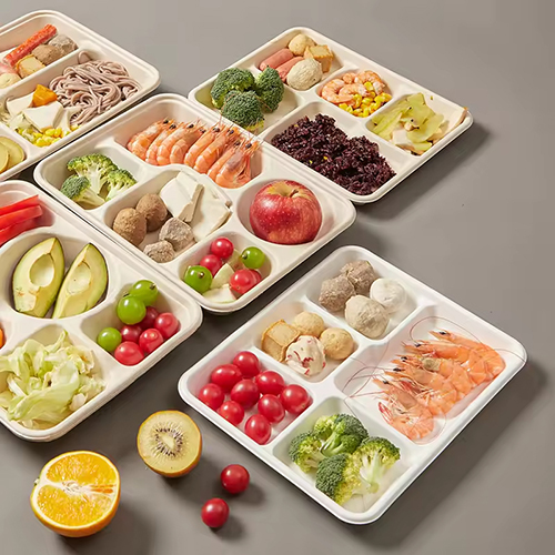 Biodegradable Sugarcane Tray