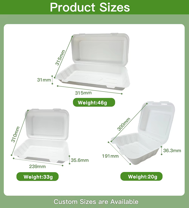 Compostable Sugarcane Clamshell Box