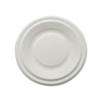 Compostable Sugarcane Plate