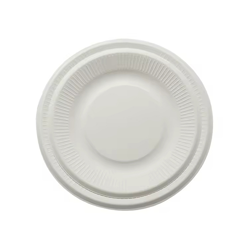 Compostable Sugarcane Plate