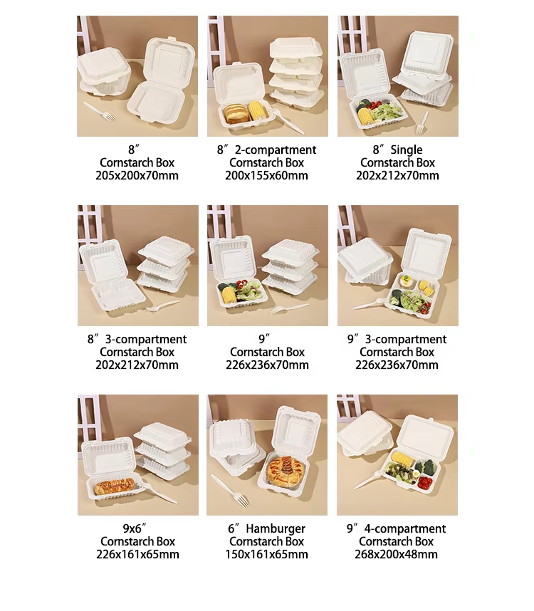 Disposable Biodegradable Boxes