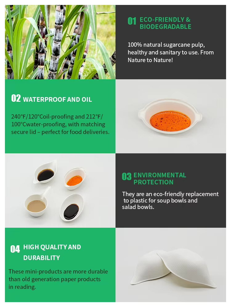 Eco-Friendly Sugarcane Finger Food Dish