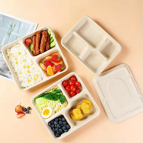 Lunch Sugarcane Tray Biodegradable Tableware