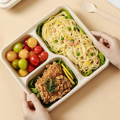 Lunch Sugarcane Tray Biodegradable Tableware
