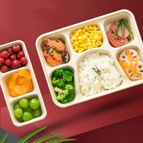 Lunch Sugarcane Tray Biodegradable Tableware