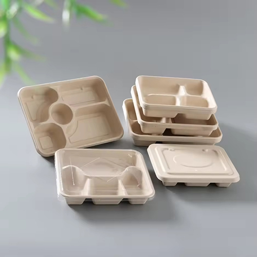 Lunch Sugarcane Tray Biodegradable Tableware