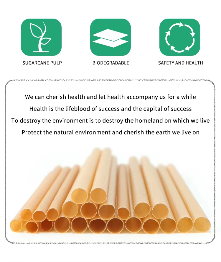 Sugarcane Pulp Straws 21cm PLA Free