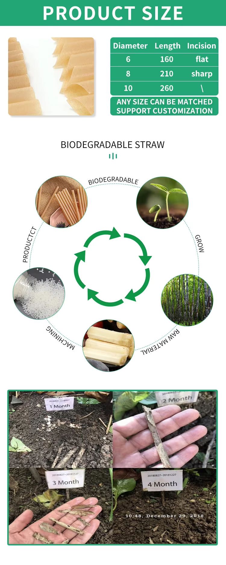 Sugarcane Pulp Straws 21cm PLA Free