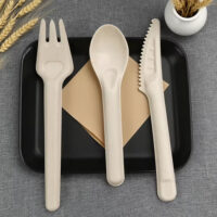 Sugarcane Spoon Fork Knife Disposable Cutlery