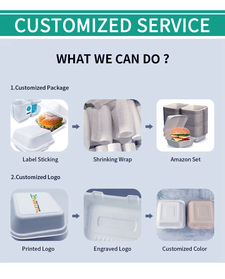 3-Compartment 800ml Sugarcane Box