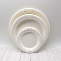 9 Inch Sugarcane Bagasse Plate