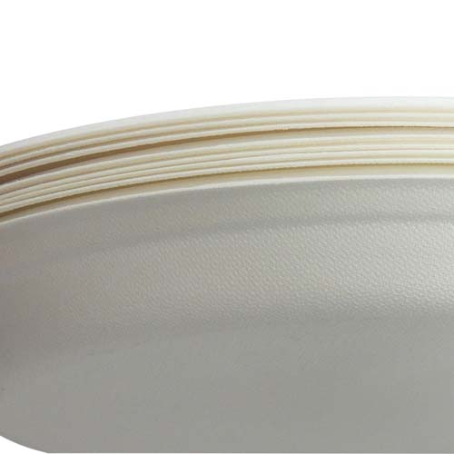 9 Inch Sugarcane Bagasse Plate