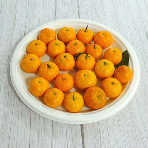 9 Inch Sugarcane Bagasse Plate