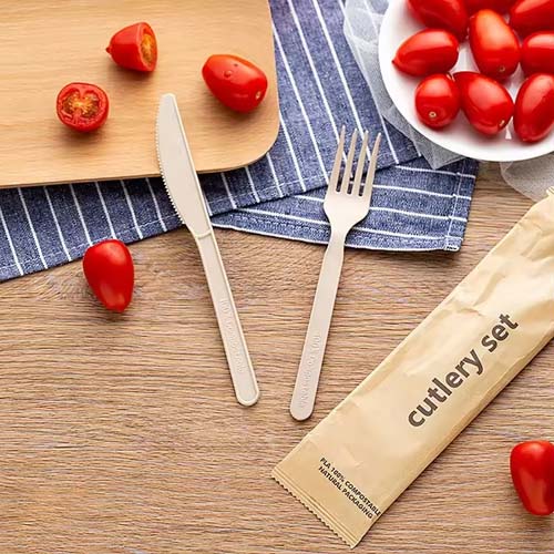 Biodegradable CPLA 7 Inch Fork
