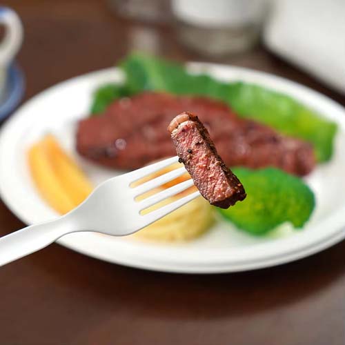 Biodegradable CPLA 7 Inch Fork