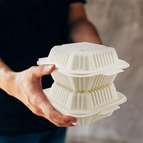 Cornstarch vs Sugarcane Tableware Key Differences You Should Know