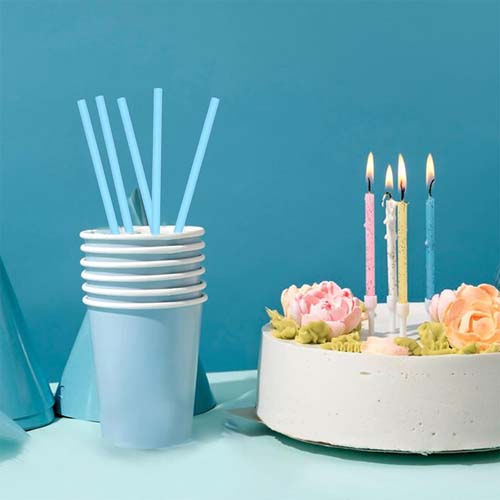 PHA Biodegradable 6mm Straw