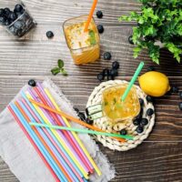 PLA Straw 21cm Individually Packed