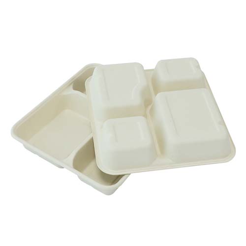 Sugarcane 4-Compartment Lunch Tray