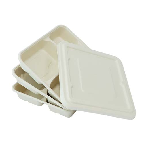 Sugarcane 4-Compartment Lunch Tray