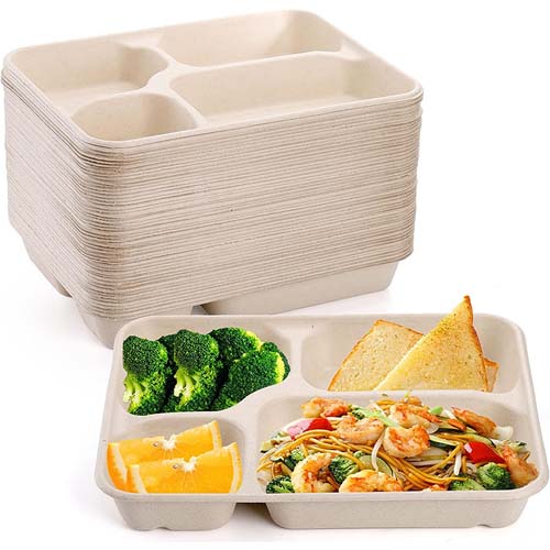Sugarcane 4-Compartment Lunch Tray