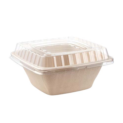 Sugarcane 500ml Square Bowl with Lid