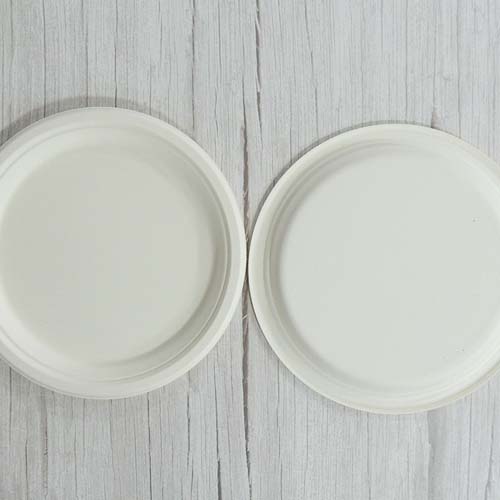 Sugarcane 6 Inch Round Plate