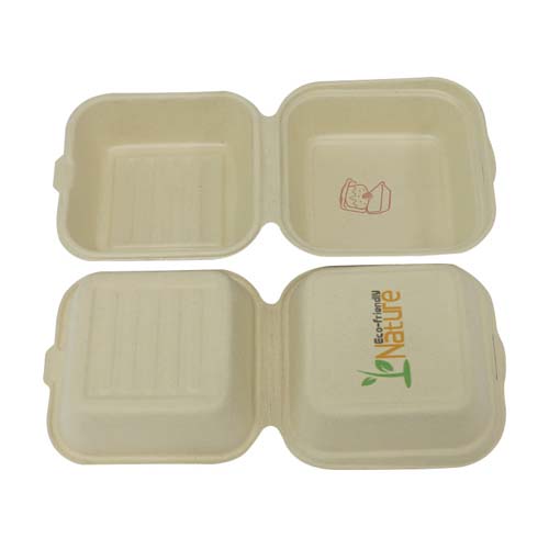 Sugarcane 9x6 Inch Hamburger Clamshell