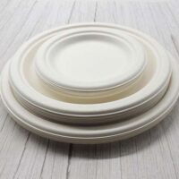 Sugarcane Bagasse 10 Inch Round Plates