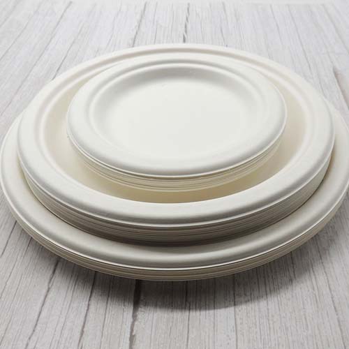 Sugarcane Bagasse 10 Inch Round Plates