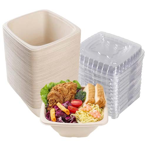 Sugarcane Bagasse 1000ml Square Bowl