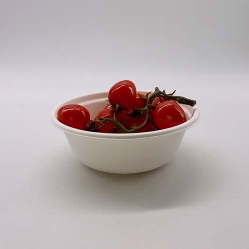 Sugarcane Bagasse 16oz Deep Bowl