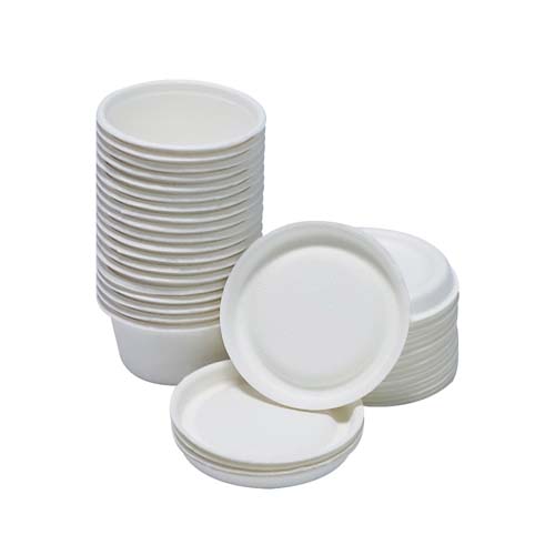 Sugarcane Bagasse 1oz Sauce Cup