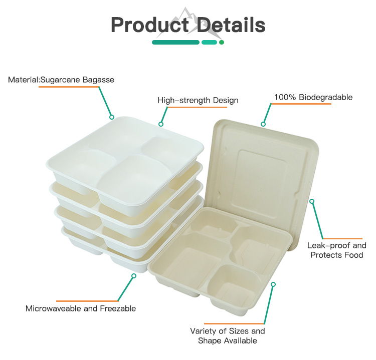 Sugarcane Bagasse 4-Compartment Tray