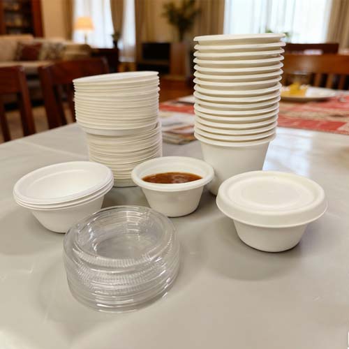 Sugarcane Bagasse 4oz Sauce Cup with Lid