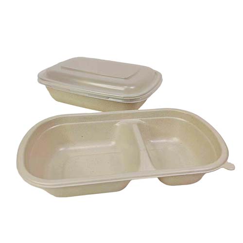 Sugarcane Bagasse Bowl with Lid