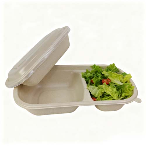Sugarcane Bagasse Bowl with Lid
