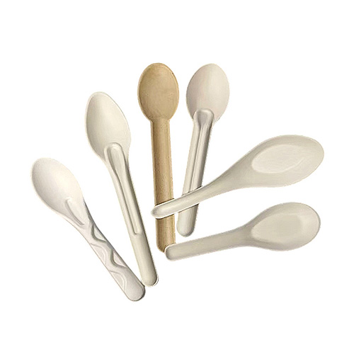 Sugarcane Bagasse Disposable Spoon