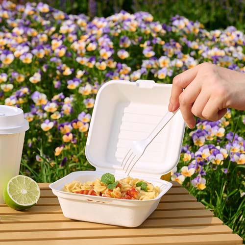 Sugarcane Clamshell Boxes The Best Plastic-Free Takeout Option