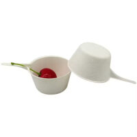 Sugarcane Finger Food Tray