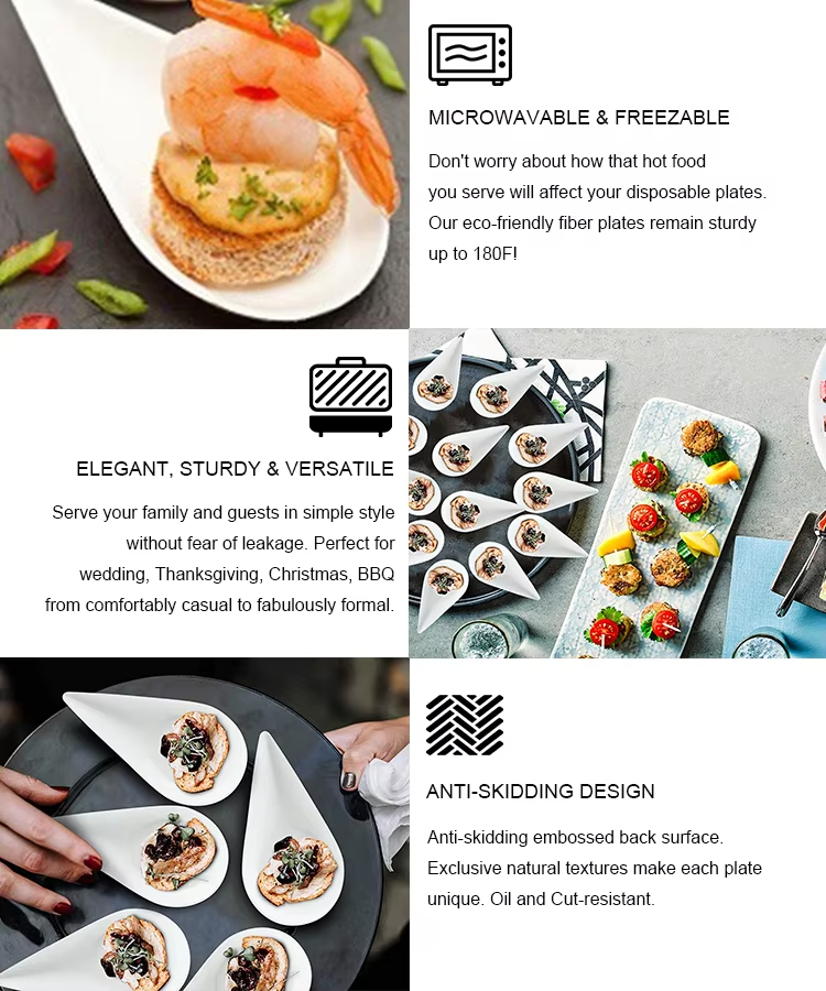 Sugarcane Finger Food Tray