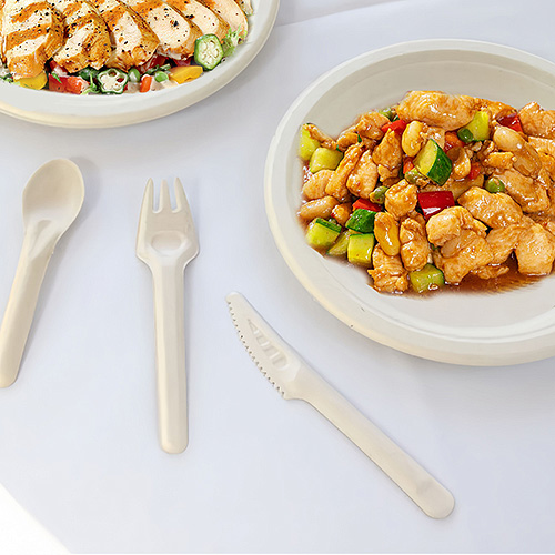 Sugarcane bagasse knife, fork, spoon